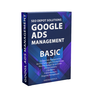Google Ads Management Basic